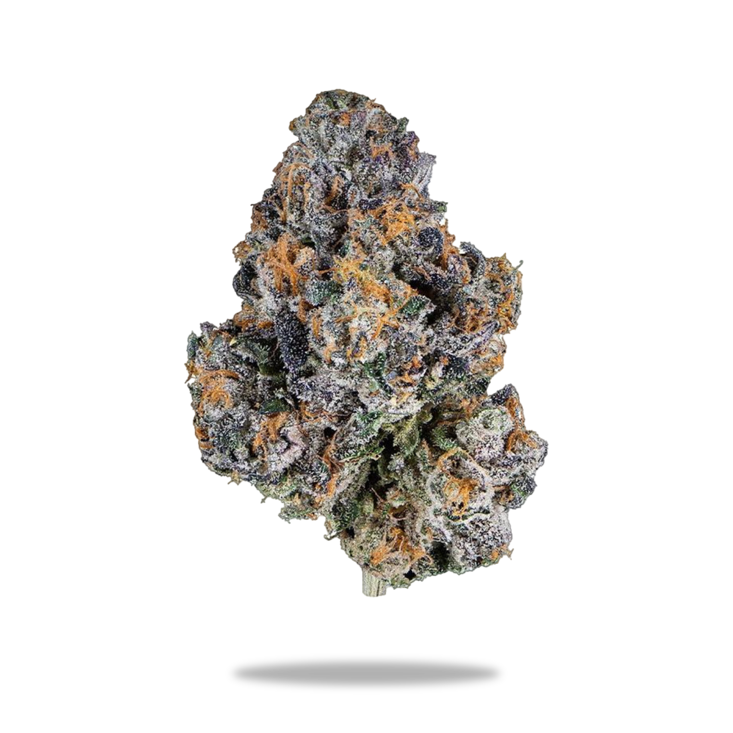 THC-A Flower – TOP SHELF