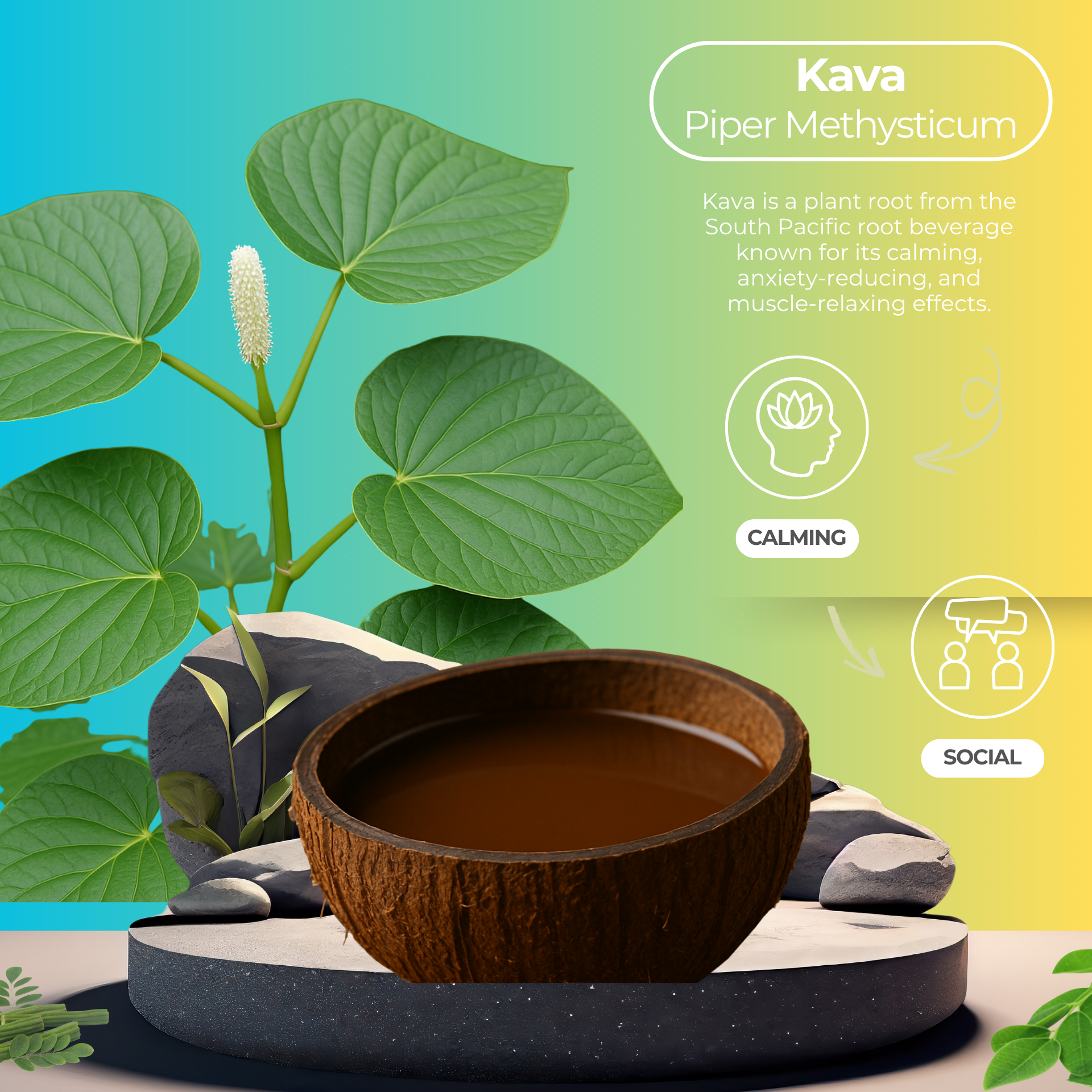 Kava Tutti Frutti (4 Pack)