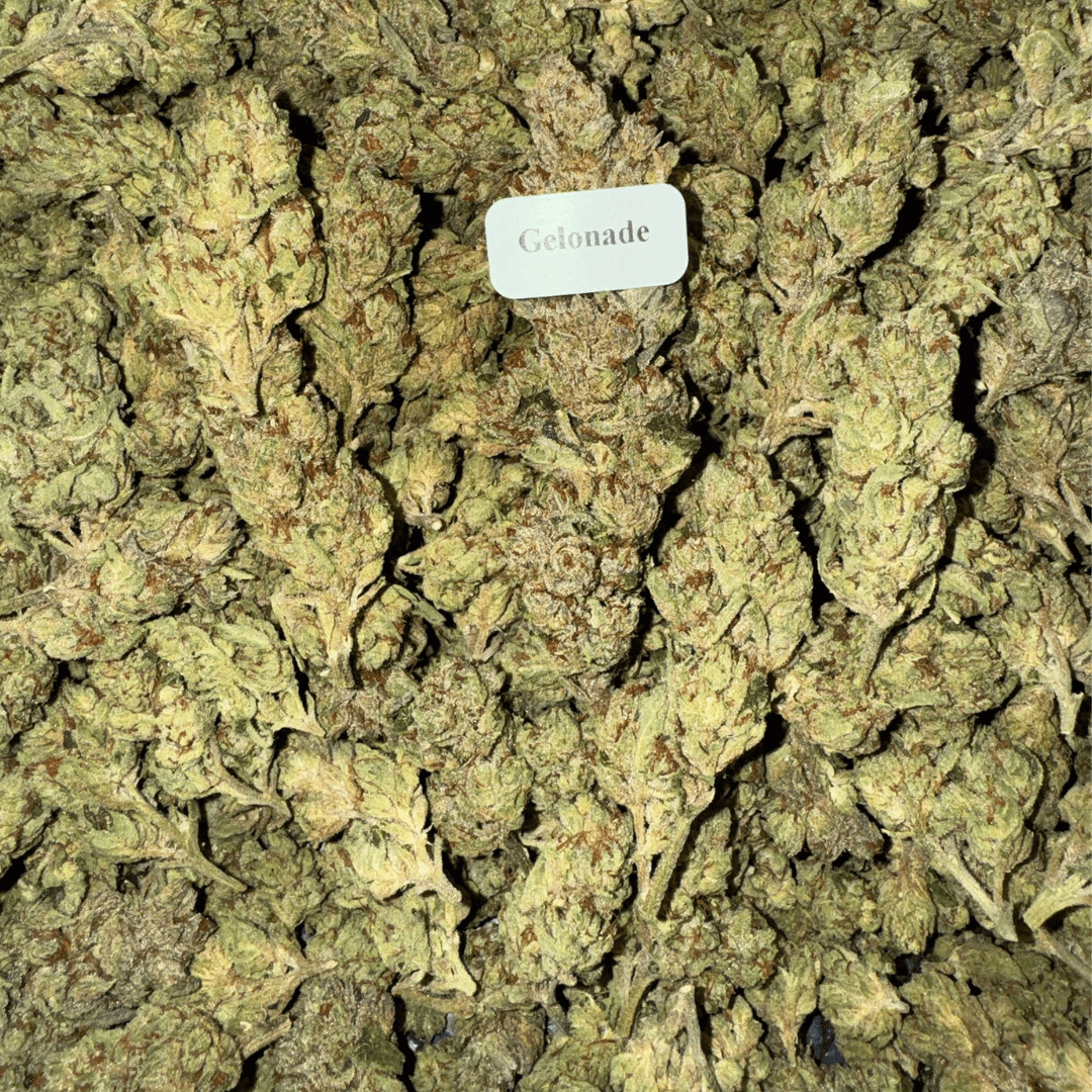 THCA Flower (33 Strains)