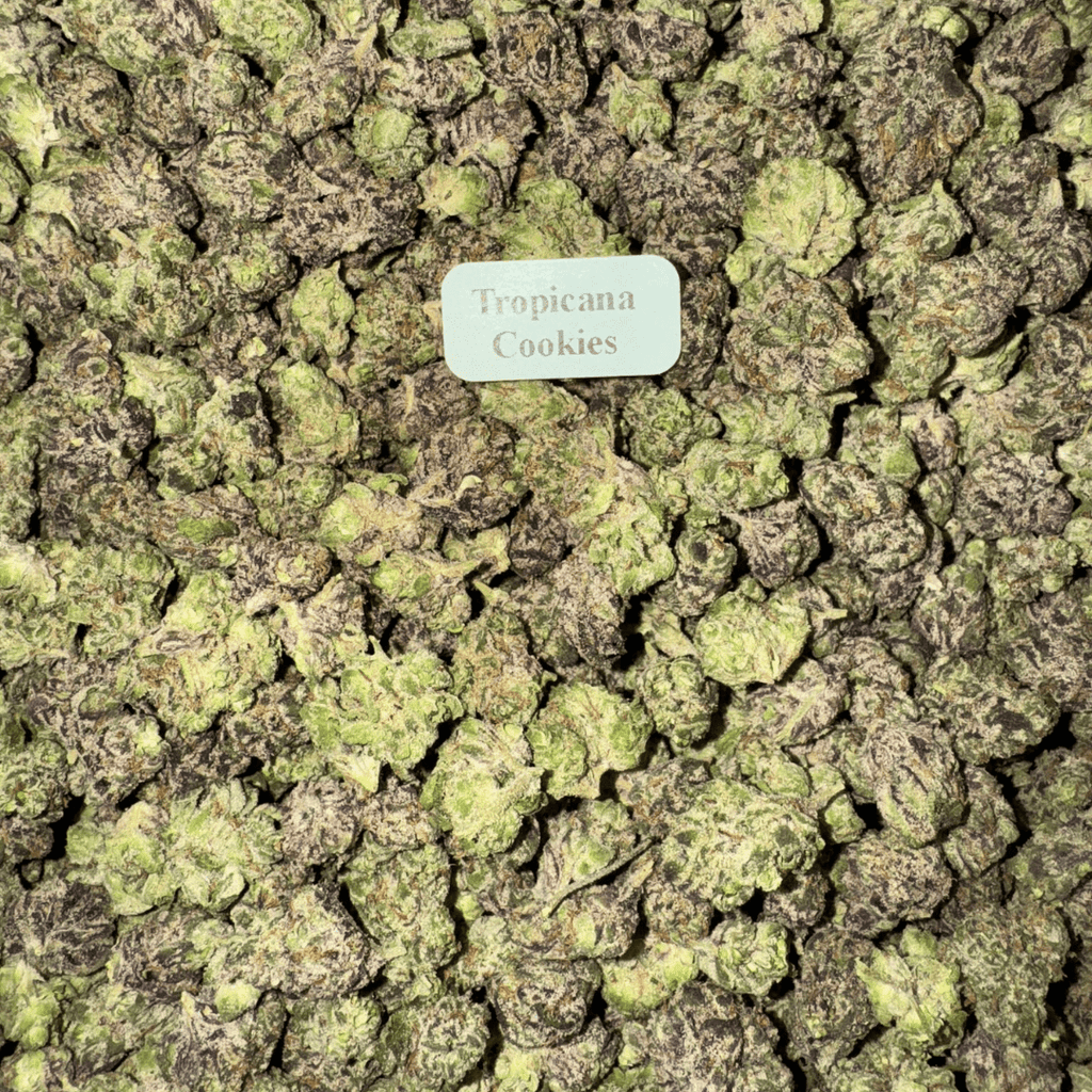 Exotic THCA Smalls Popcorn Nugs (8 Strains)