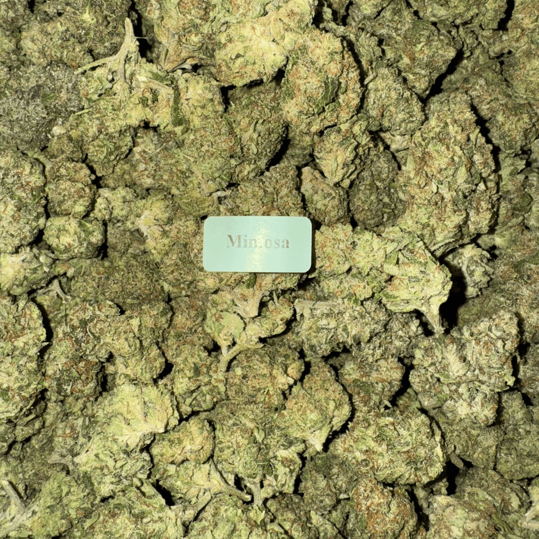 THCA Flower (33 Strains)