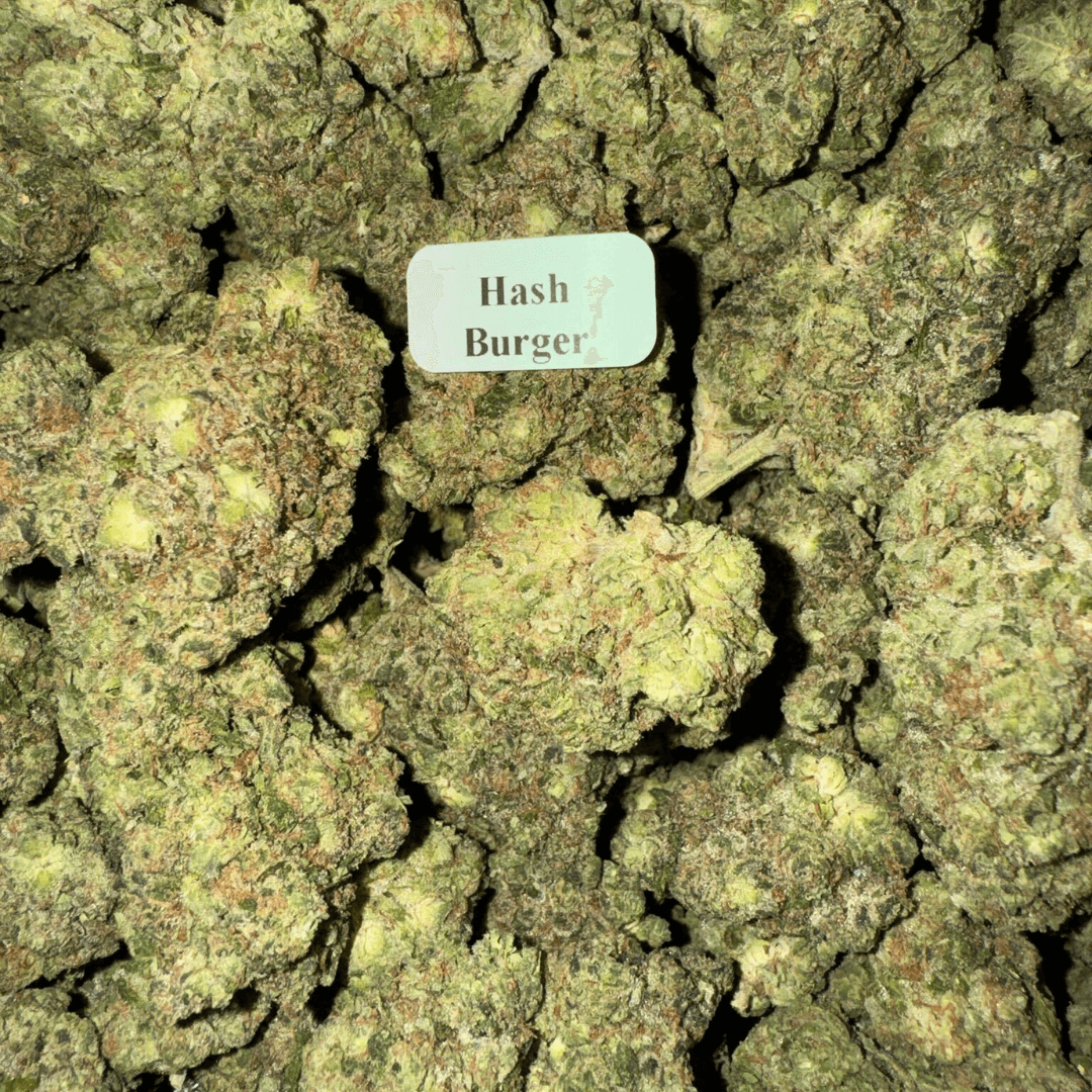 THCA Flower – Indoor Exotics – Gold Line (33 Strains)