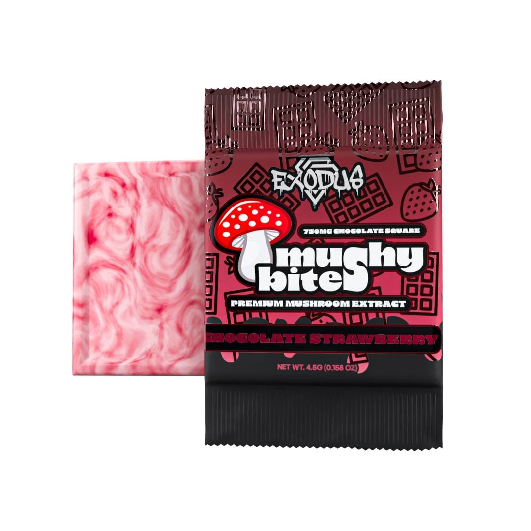 Mushy Bites Mushroom Chocolate Squares – 750mg (3 Flavors)