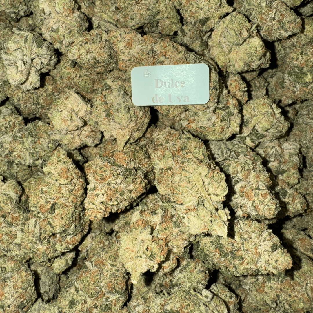 THCA Flower – Indoor Exotics – Gold Line (33 Strains)