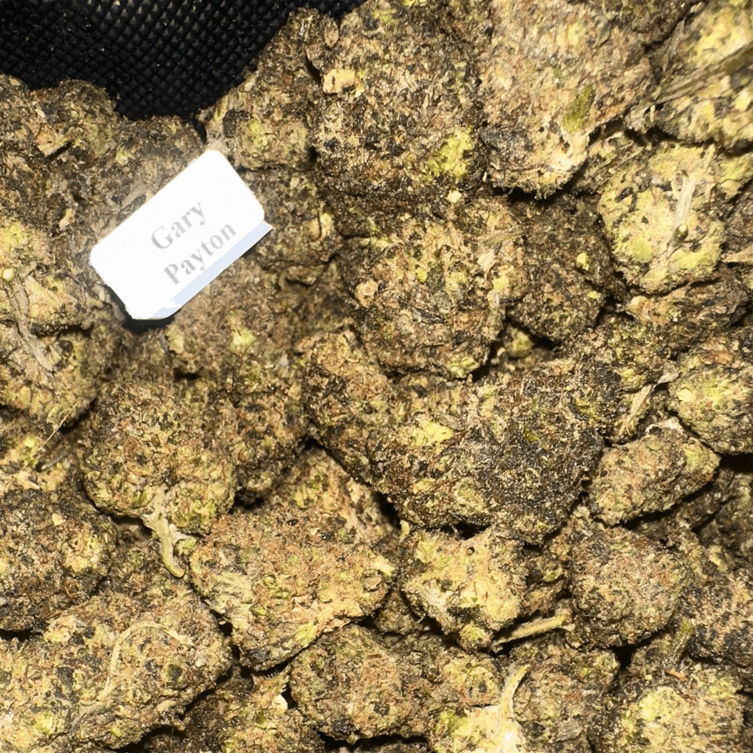 THCA + THC-P Flower (6 Strains)