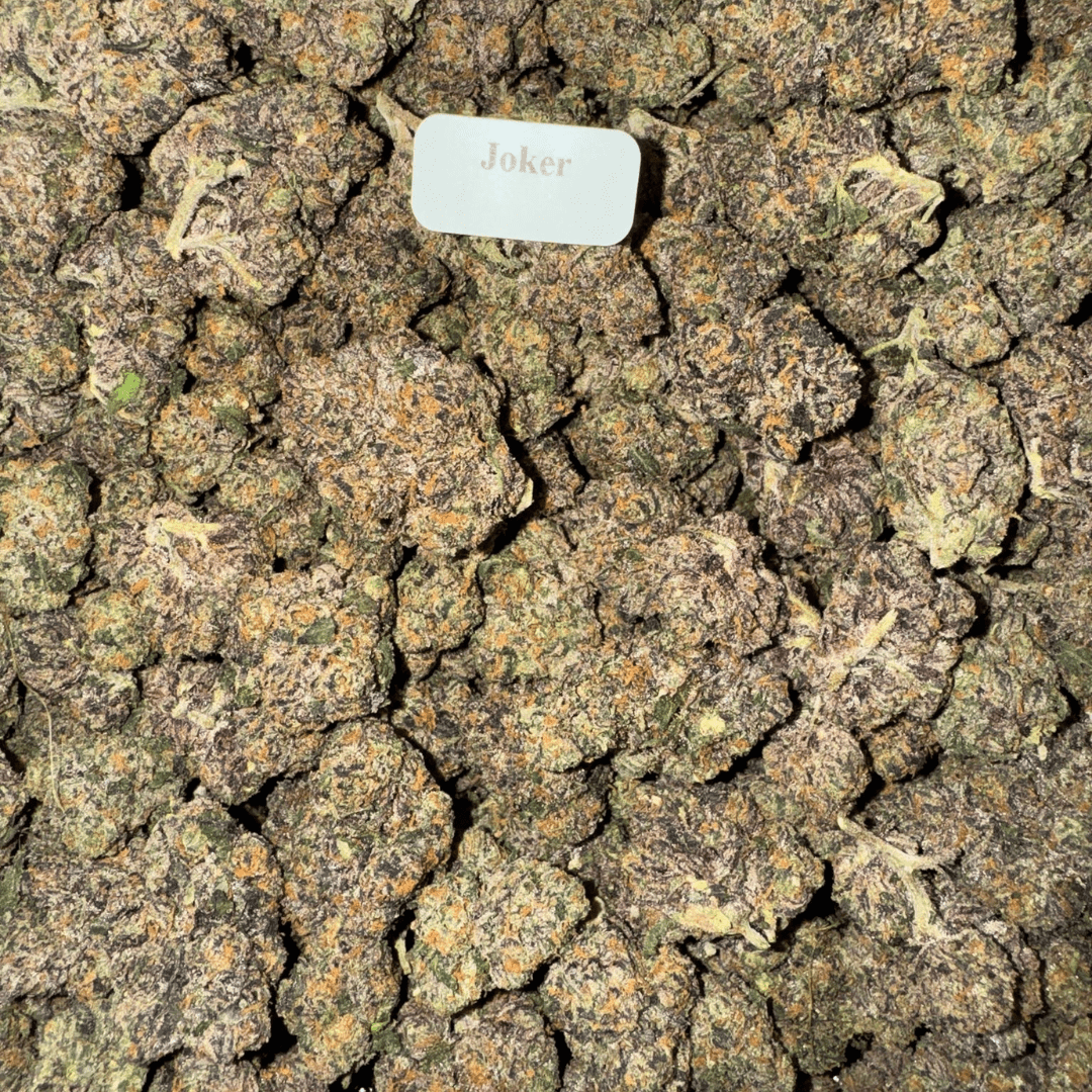 Blazed Exotic THCA Flower (30 Strains)