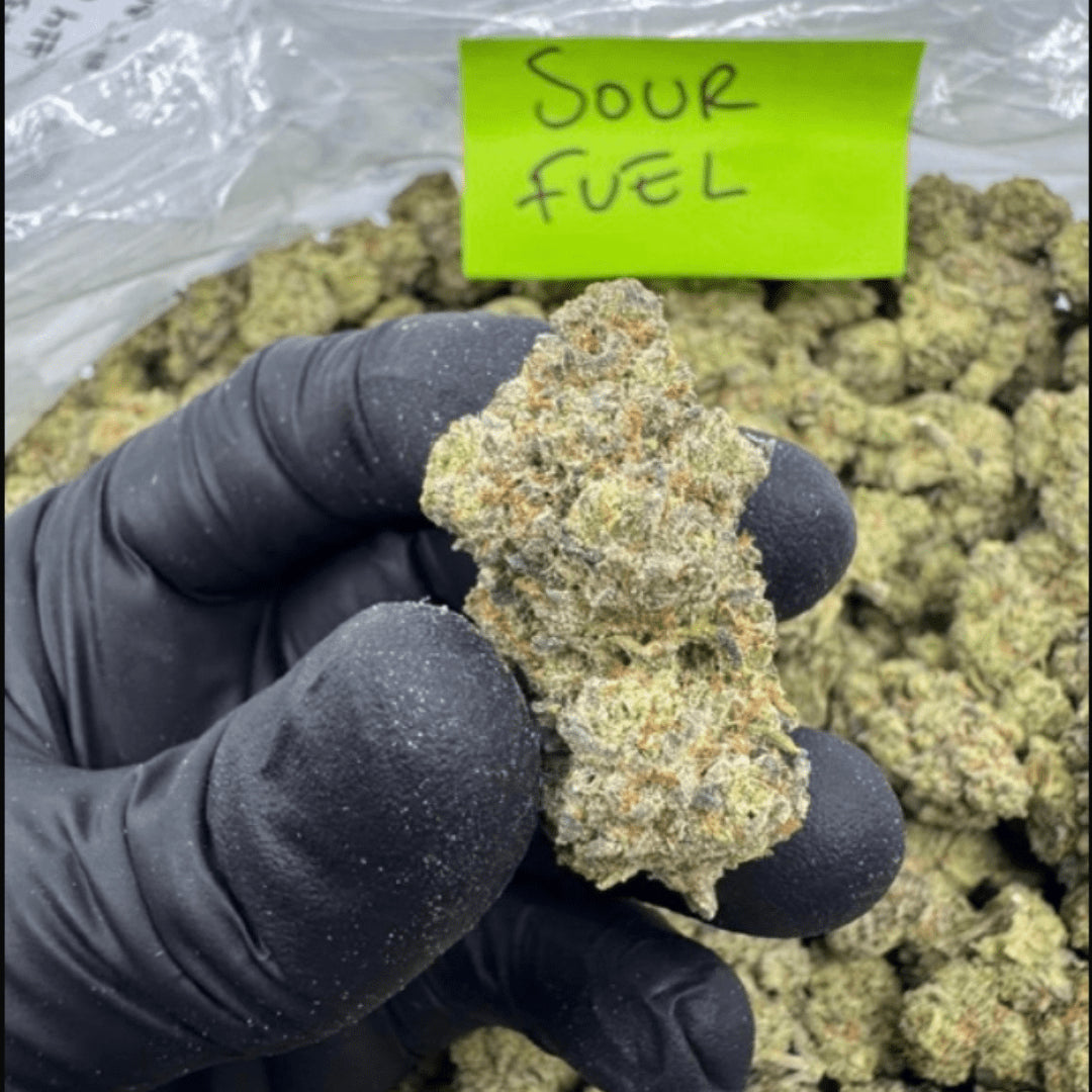 THCA Flower – Indoor Exotics – Gold Line (33 Strains)