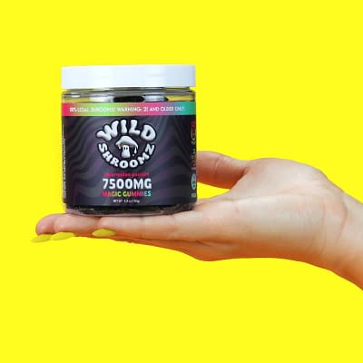 Wild Shroomz Mushroom + Delta 9 Gummies (3 Flavors)