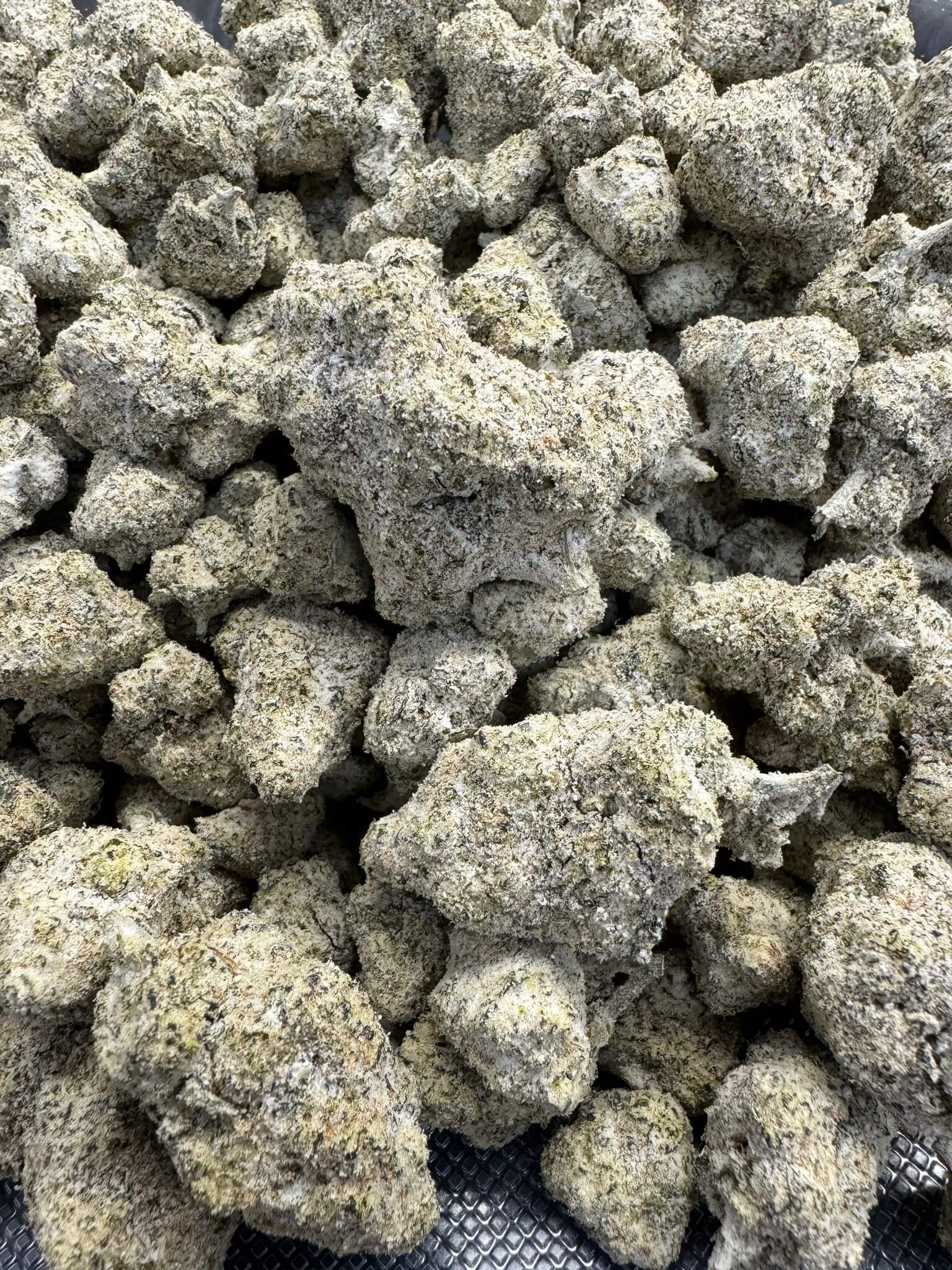 THCA Snowballs – Gold Line (9 Strains)