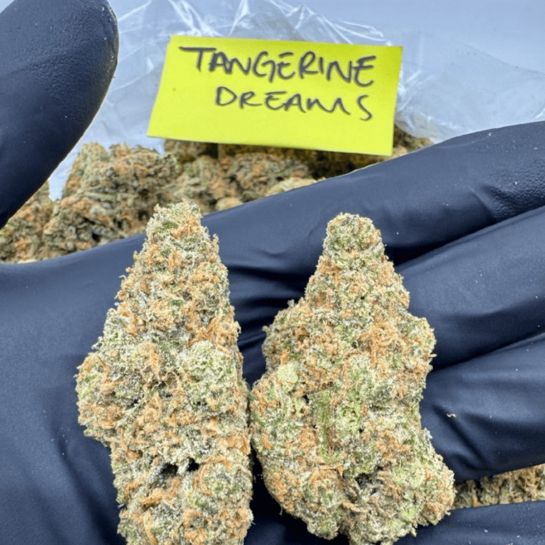 THCA Flower – Indoor Exotics – Gold Line (33 Strains)