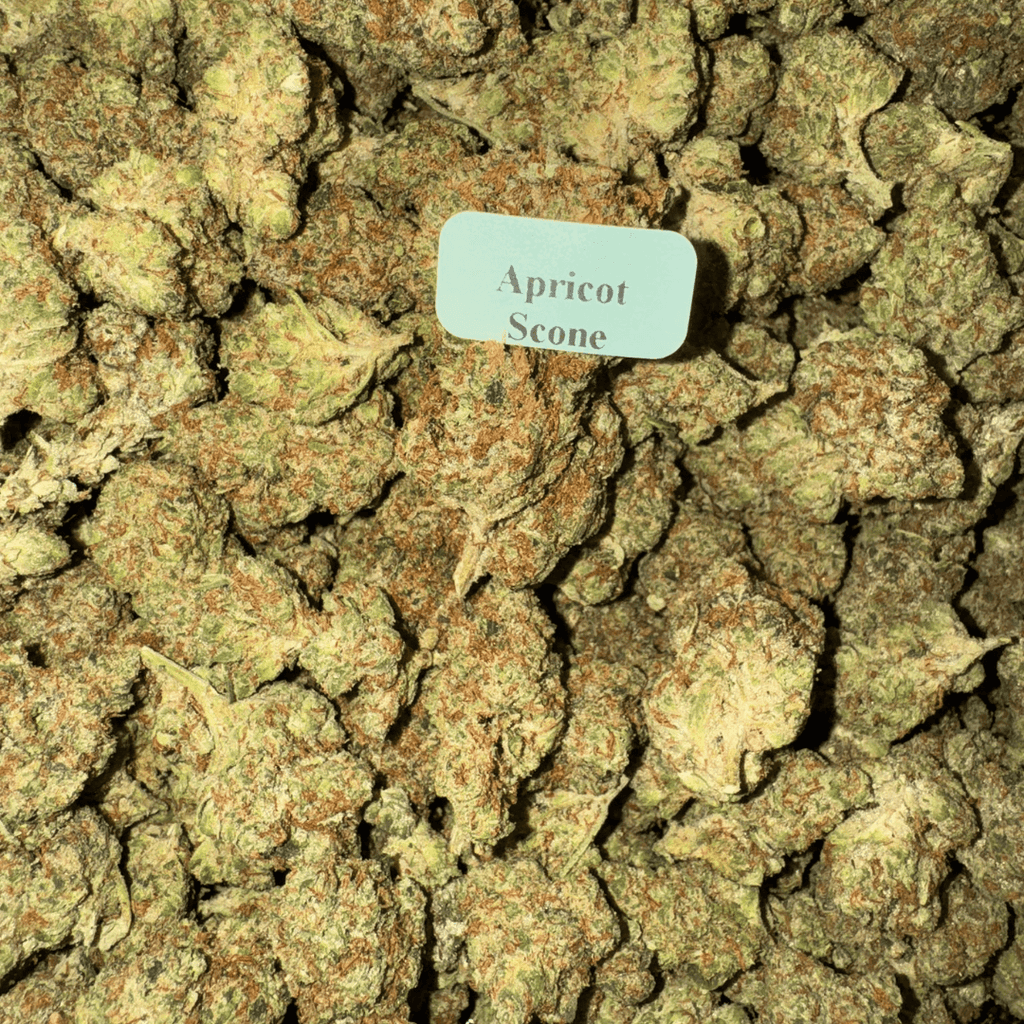 Blazed Exotic THCA Flower (30 Strains)