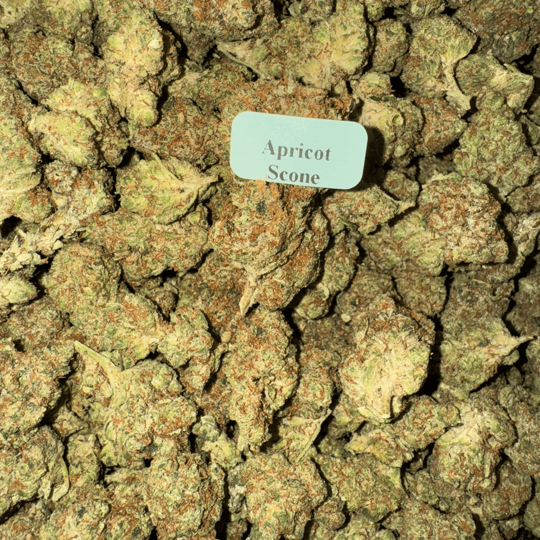 Blazed Exotic THCA Flower (30 Strains)