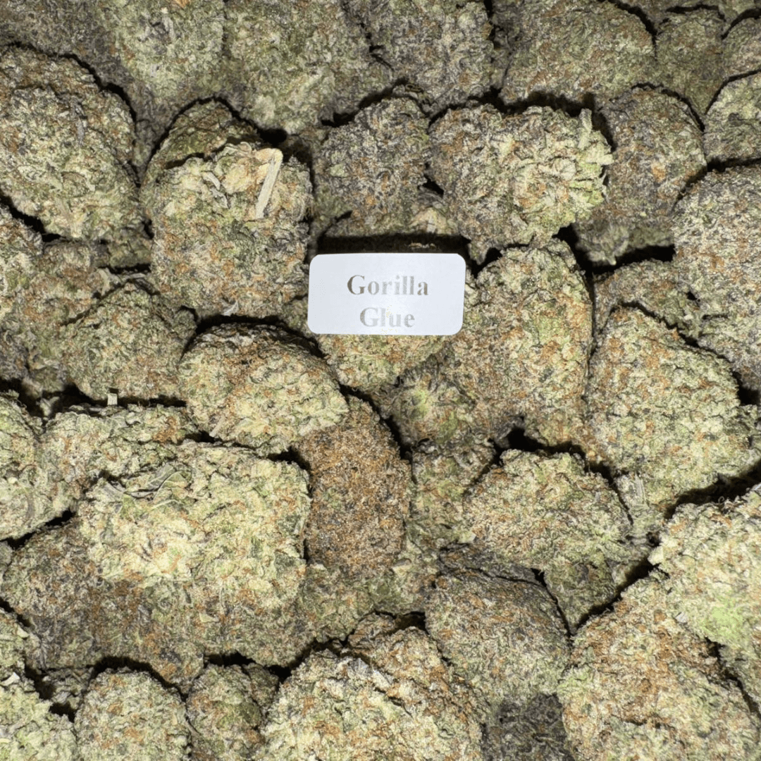 THCA Flower – Platinum Line (14 Strains)
