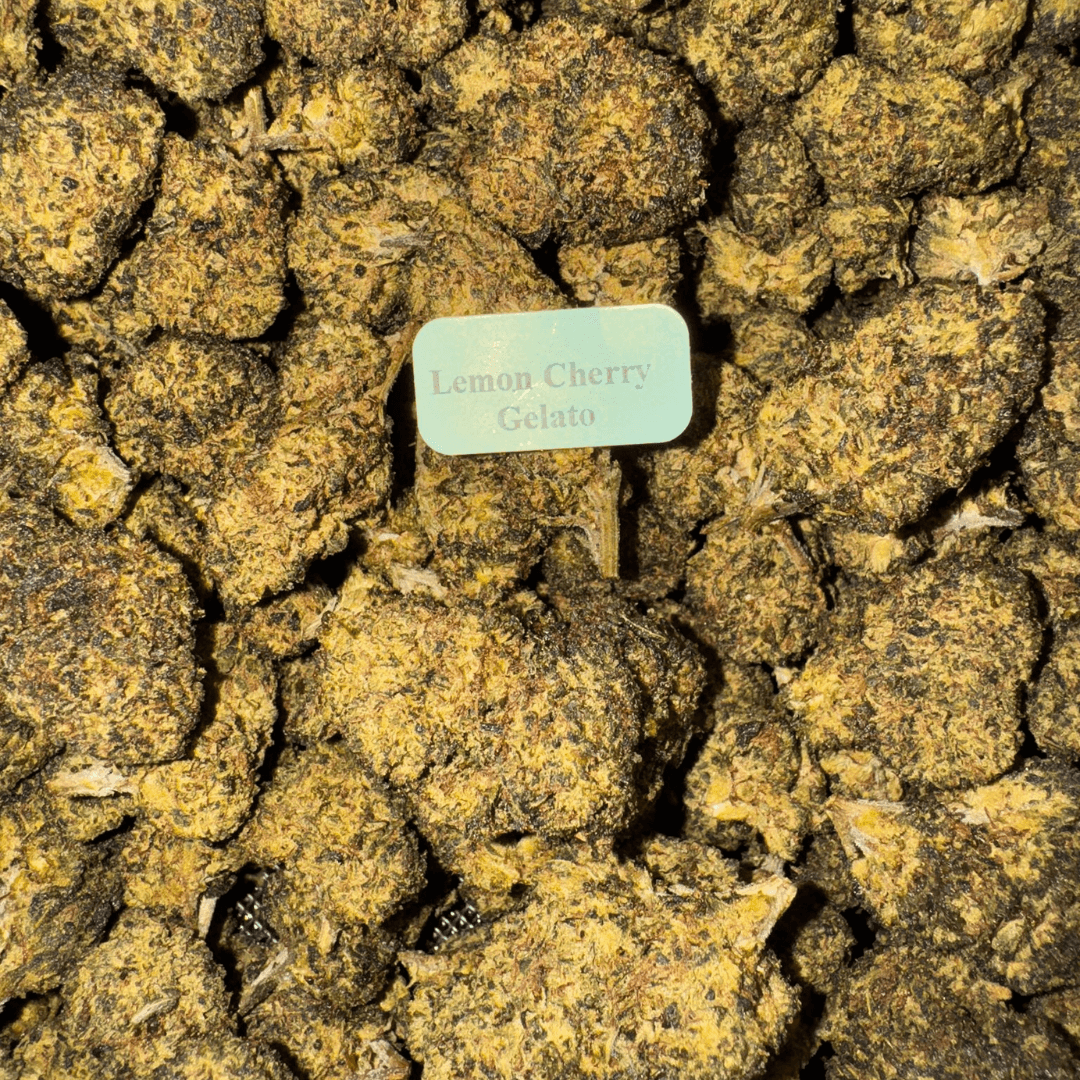THCA + THC-P Flower (6 Strains)