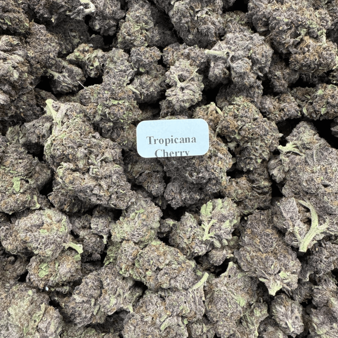 THCA Flower – Indoor Exotics – Gold Line (33 Strains)