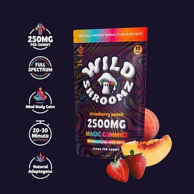 Wild Shroomz Mushroom + Delta 9 Gummies (3 Flavors)