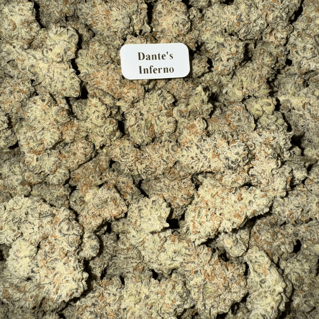 THCA Flower – Indoor Exotics – Gold Line (33 Strains)