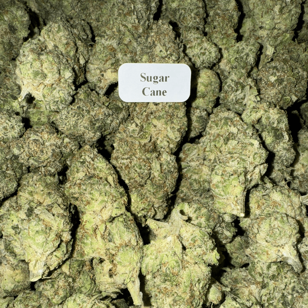 THCA Flower – Indoor Exotics – Gold Line (33 Strains)