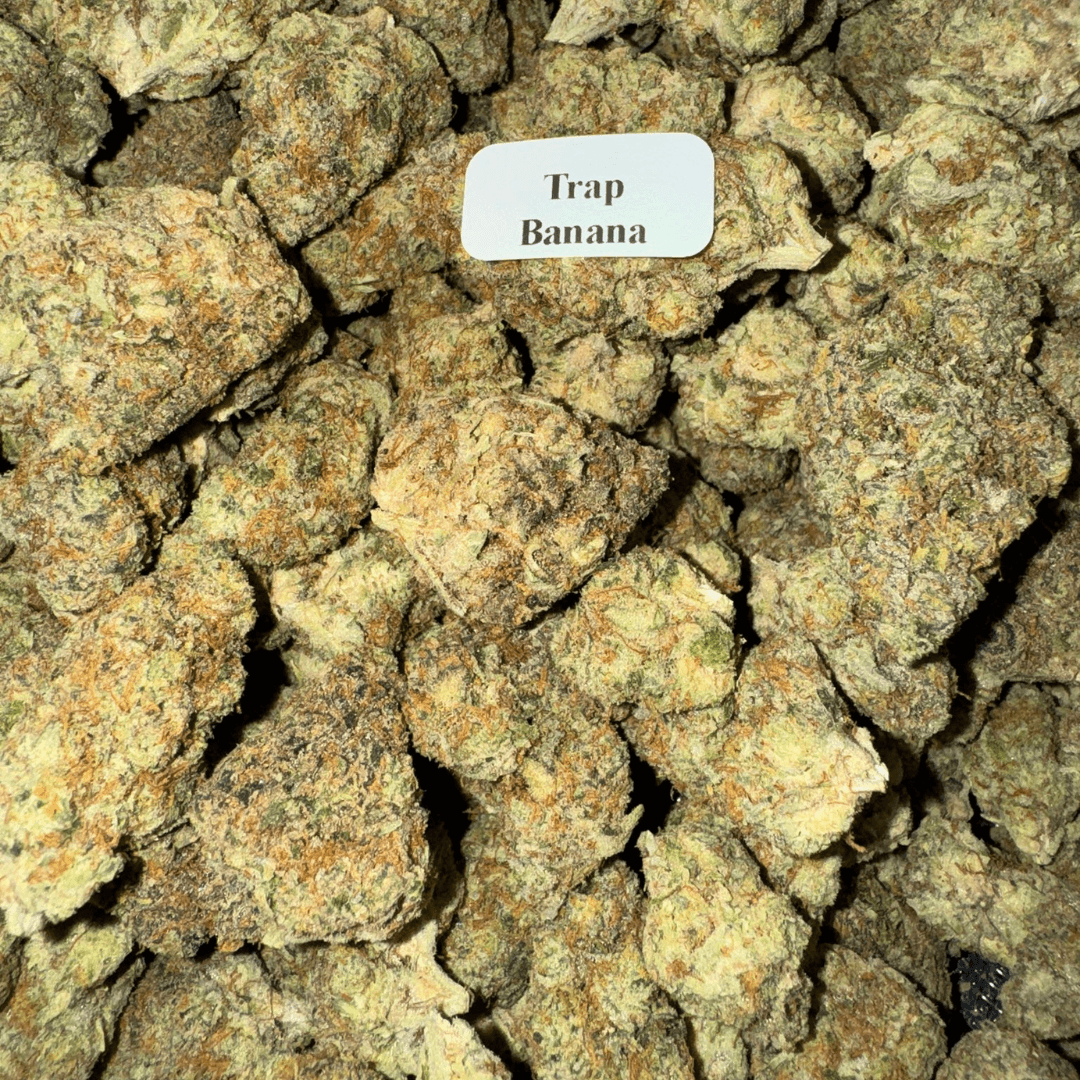 THCA Flower – Indoor Exotics – Gold Line (33 Strains)