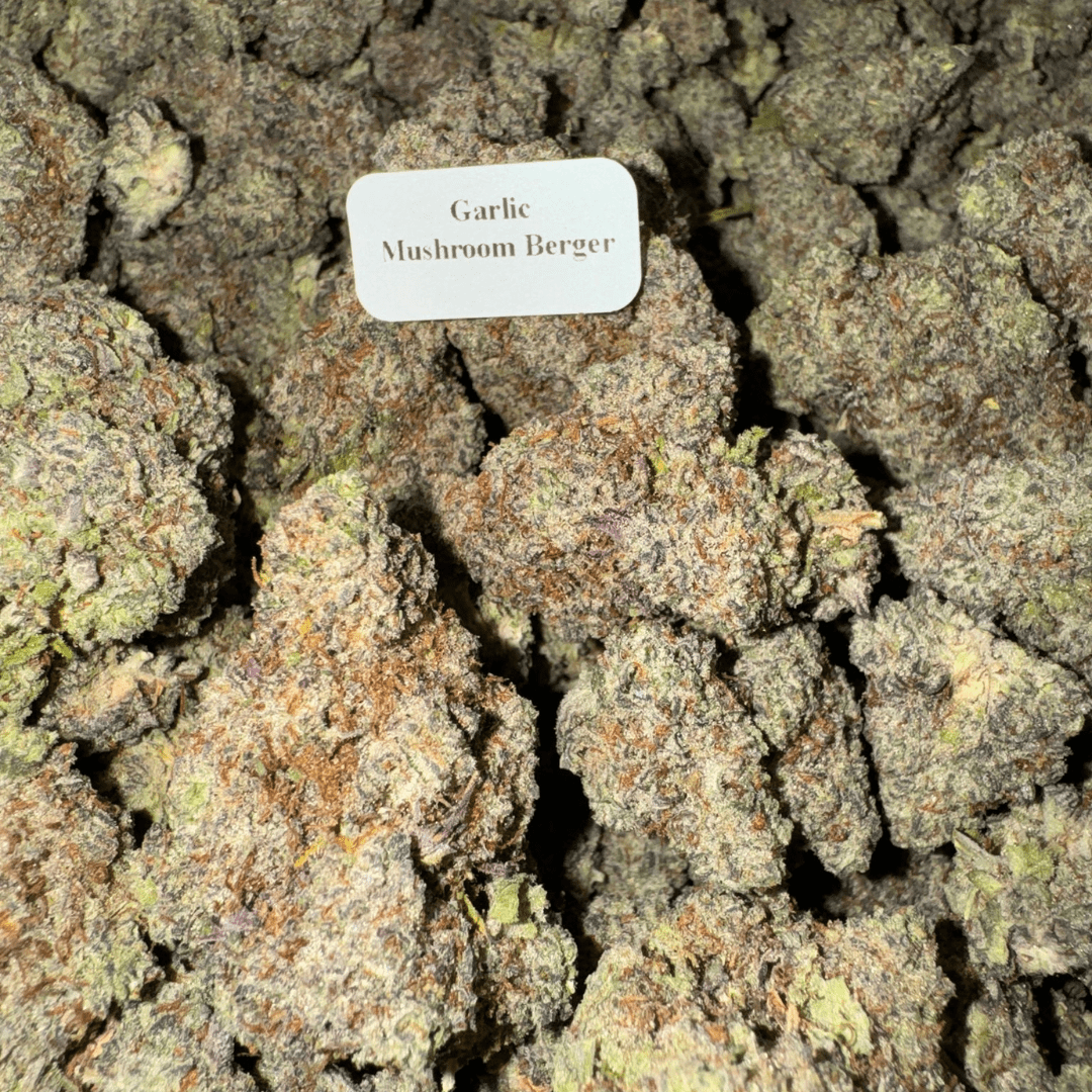 THCA Flower – Indoor Exotics – Gold Line (33 Strains)
