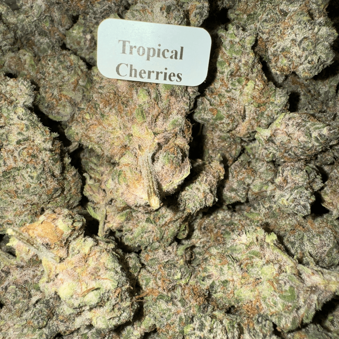 THCA Flower – Indoor Exotics – Gold Line (33 Strains)