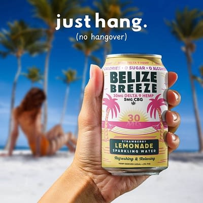 Kava/ THC Infused Sparkling Water (4 Flavors)