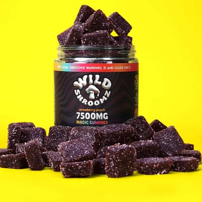 Wild Shroomz Mushroom + Delta 9 Gummies (3 Flavors)