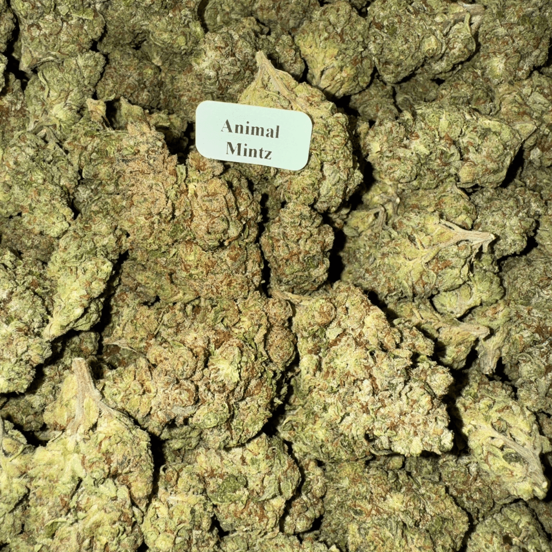THCA Flower (33 Strains)