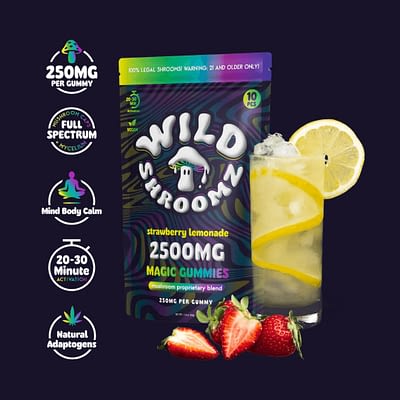 Wild Shroomz Mushroom + Delta 9 Gummies (3 Flavors)