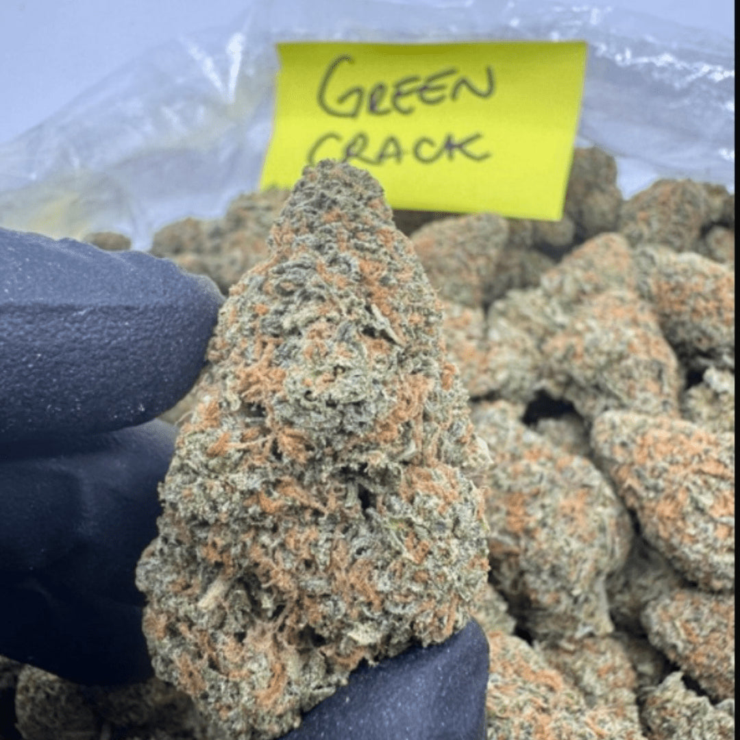 THCA Flower – Indoor Exotics – Gold Line (33 Strains)
