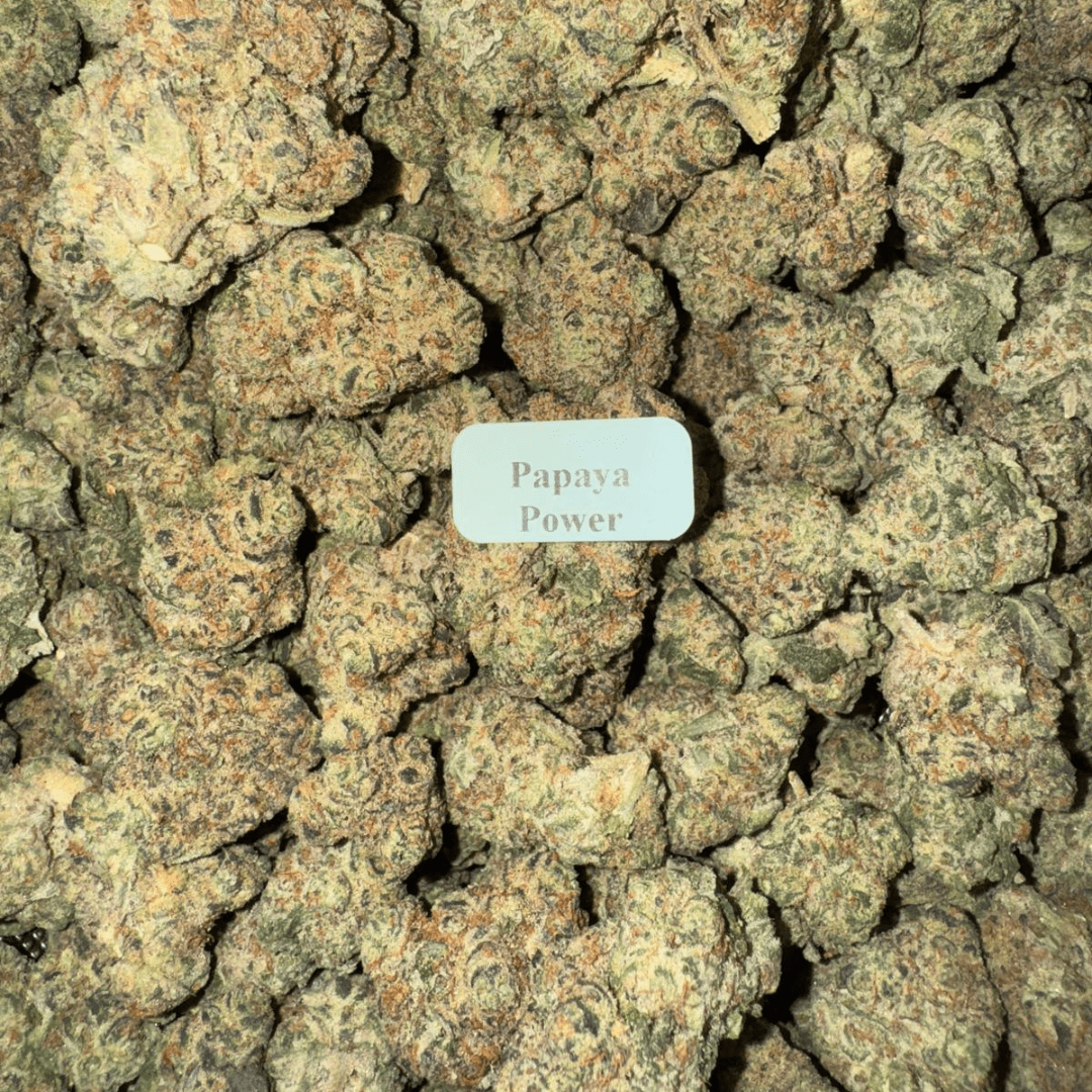 THCA Flower – Platinum Line (14 Strains)