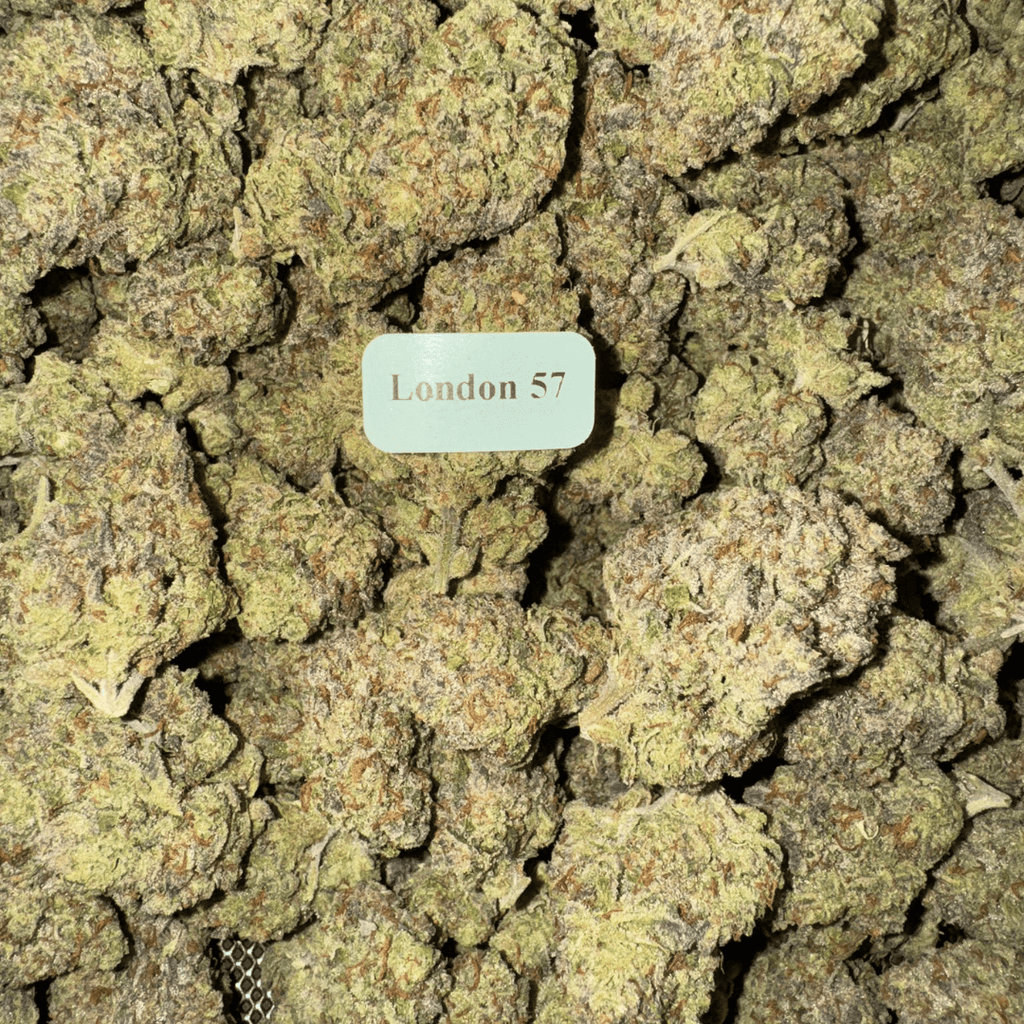 THCA Flower (33 Strains)