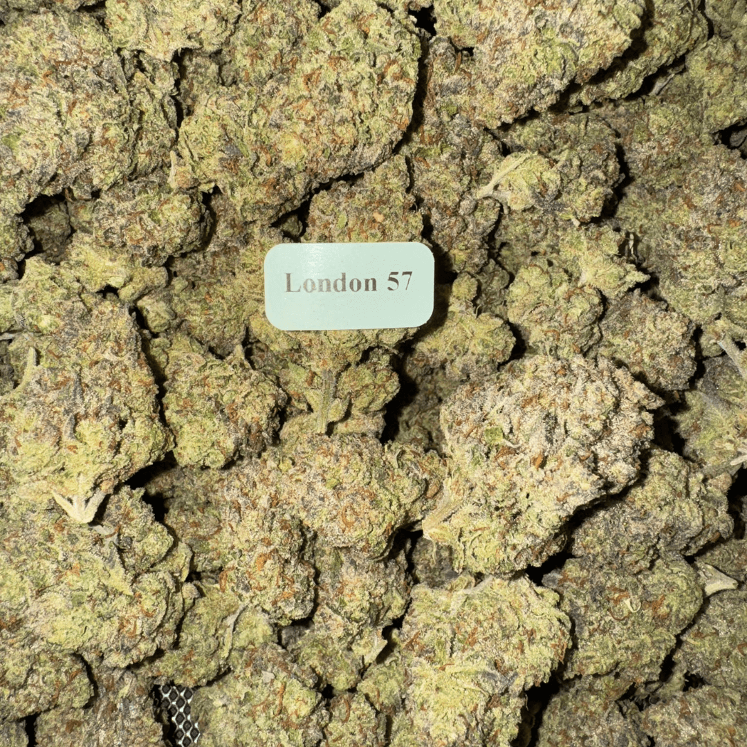 THCA Flower (33 Strains)