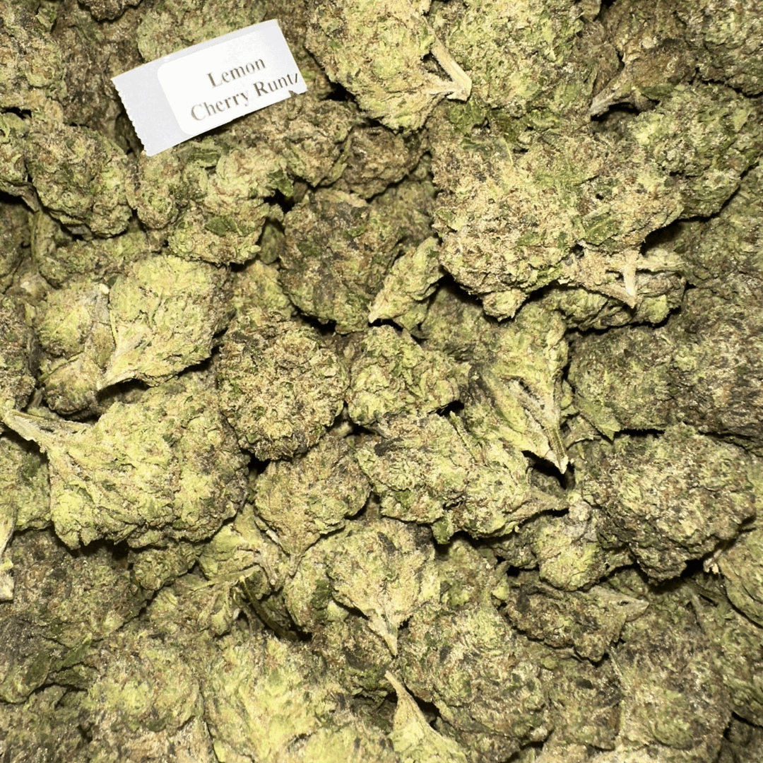 THCA Flower – Indoor Exotics – Gold Line (33 Strains)