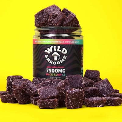 Wild Shroomz Mushroom + Delta 9 Gummies (3 Flavors)