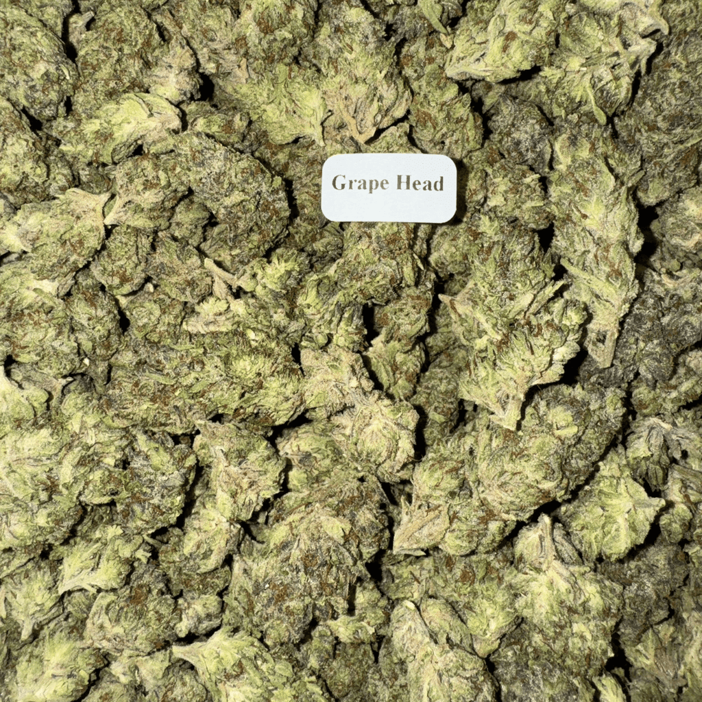 THCA Flower (33 Strains)