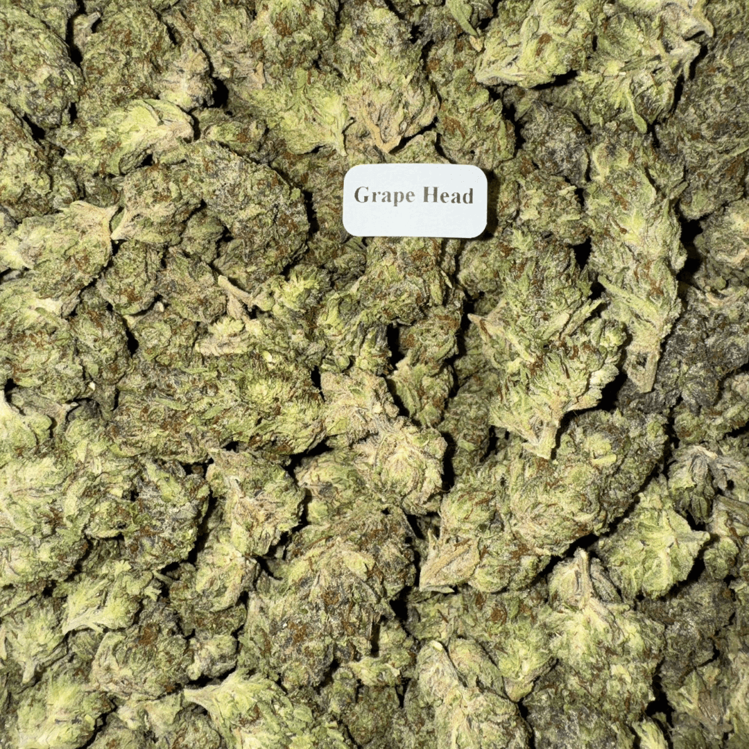THCA Flower (33 Strains)