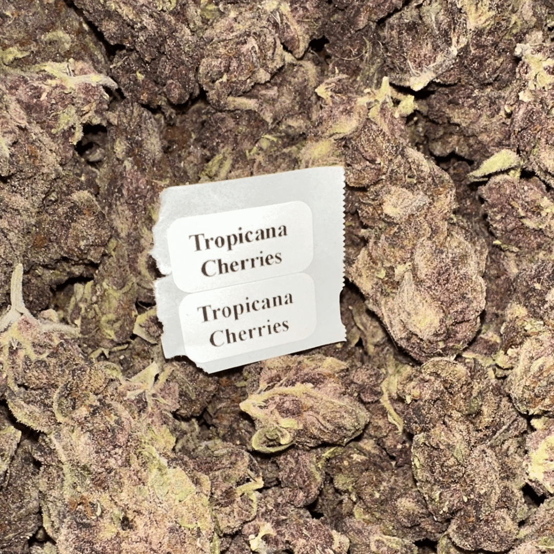 THCA Flower (33 Strains)