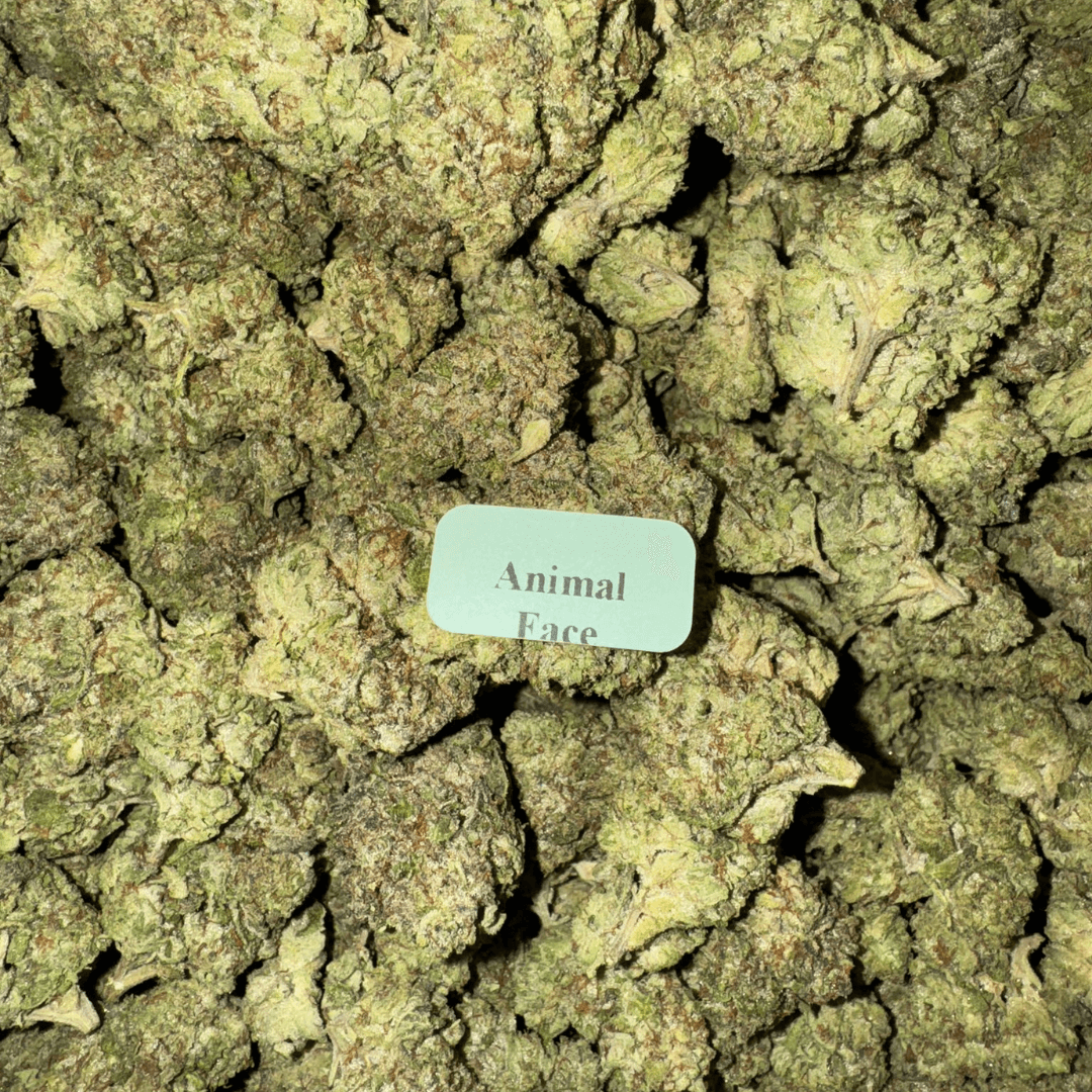 THCA Flower (33 Strains)