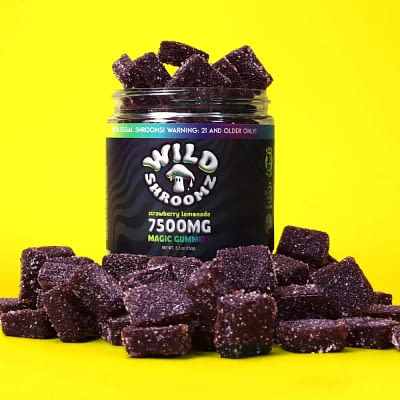 Wild Shroomz Mushroom + Delta 9 Gummies (3 Flavors)