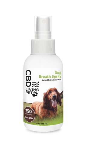 CBD Dog Breath 250mg